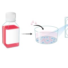 MIM003 Protocol Summary