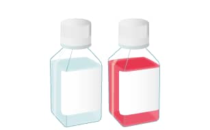 Protocol to Differentiate GI Stem Cells into Tissue Step 2