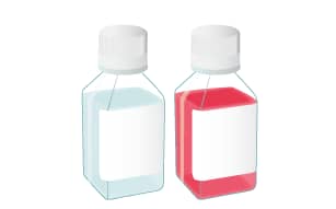 Protocol: Differentiation of MimEX GI Human Descending Colon Stem Cells Step 2