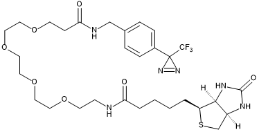 Photo-crosslinking capture probe for deazaflavin-diazirine energy-transfer labelling (DarT labelling) with a biotin handle