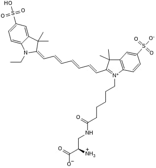 Near-infrared Cy7-based fluorescent dye for staining bacteria in vitro and in vivo