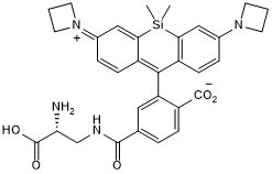 Red Janelia Fluor® fluorescent dye for live gram positive and negative bacteria imaging