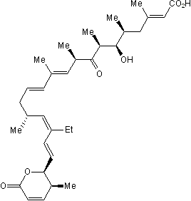 Leptomycin B (CAS 87081-35-4): R&D Systems