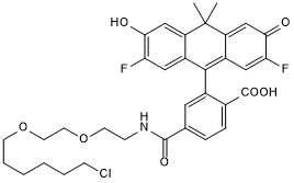 Cell-permeable fluorogenic fluorescent dye with a chloroalkane handle. Application: live-cell imaging as a self-labeling tag substrate