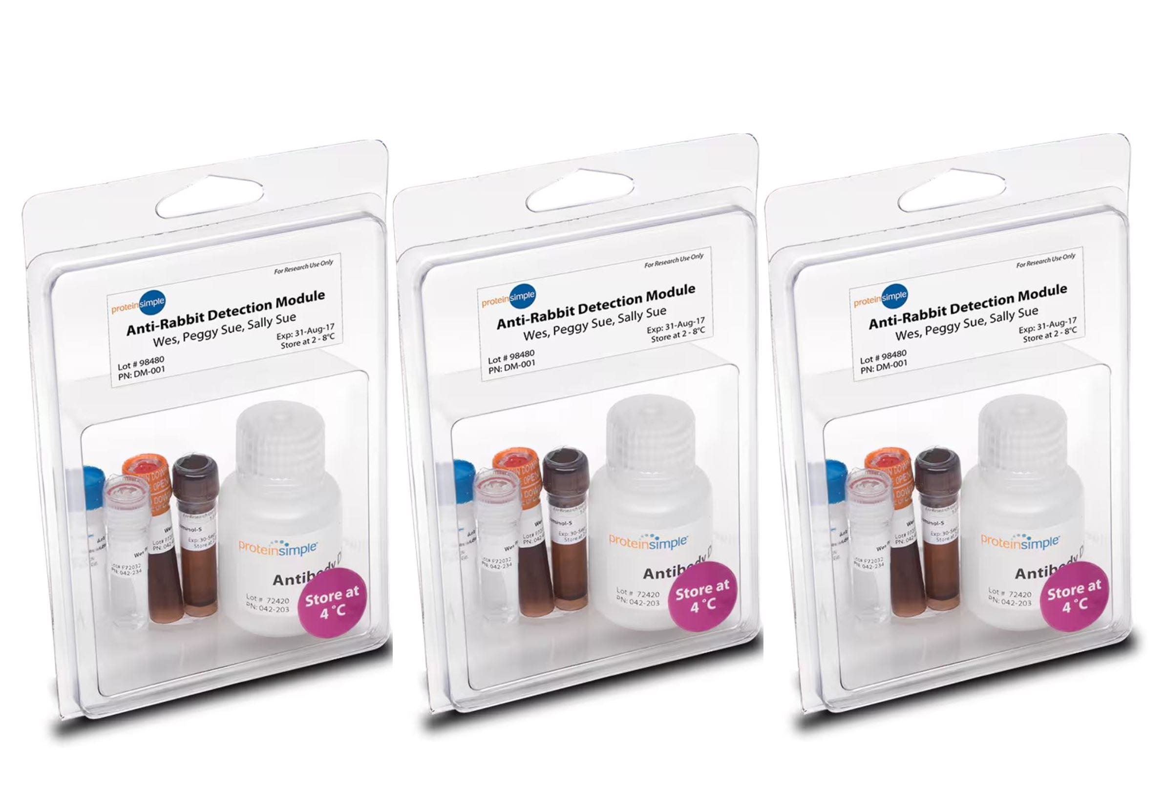 Simple Western Anti-Rabbit Detection Module, for 24 x 25-Caps, Chemi, LC