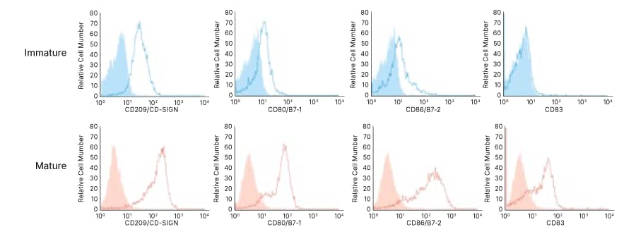 Flow cytometry analysis comparing immature and LPS-treated mature MoDCs differentiated from CD14+ monocytes using R&D Systems cell culture cytokines.