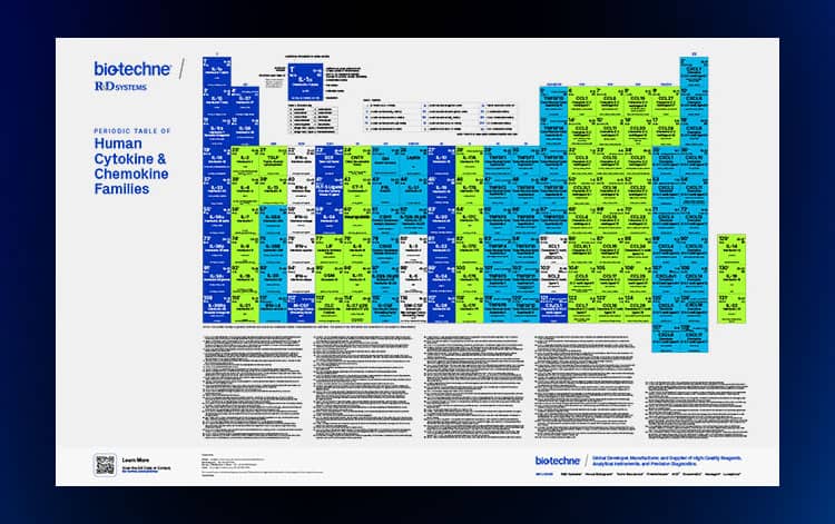 thumbnail image of R&D Systems Periodic Table of Human Cytokine & Chemokine Families poster