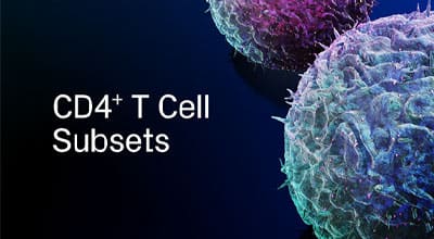 CD4+ T Cell Subsets Brochure