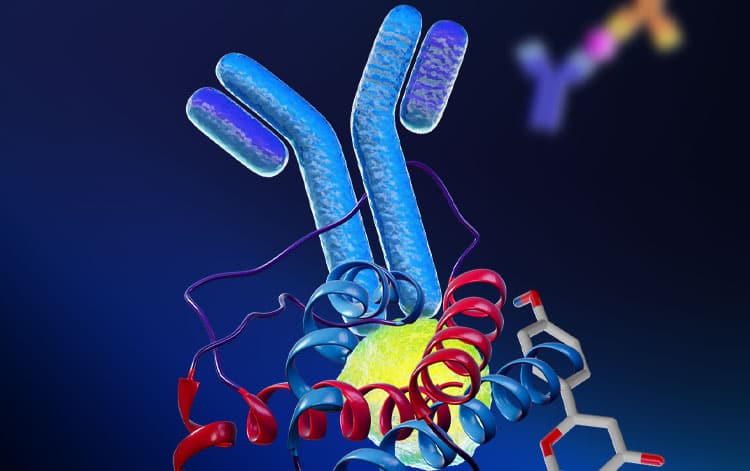 Protein ribbon and antibody structures depicting reagents used for immune cell culture