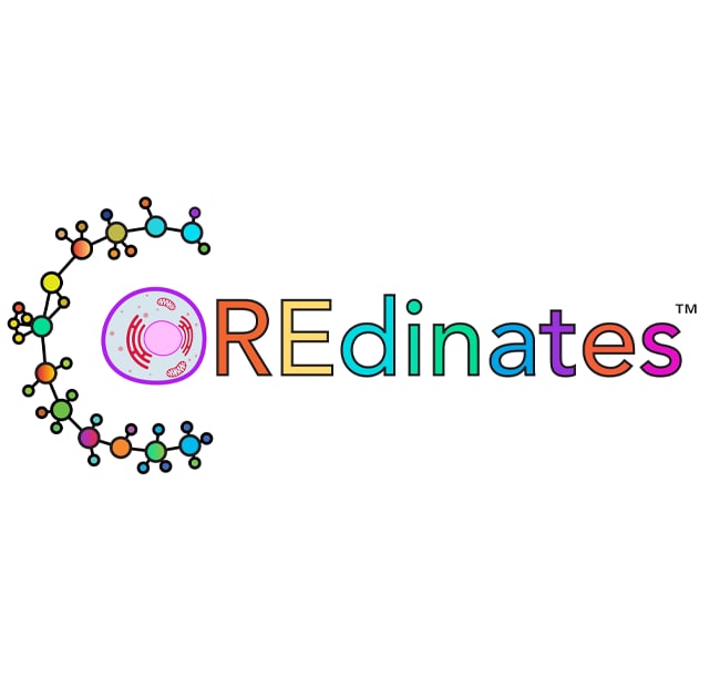 Image of Coredinates logo