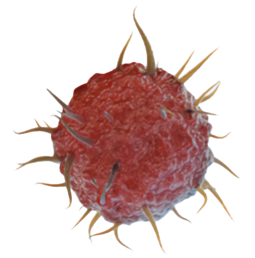 M1-activated macrophages cultured using R&D Systems cytokines and LPS display a CD38+CD11c+HLA-DR+CD86+ phenotype as determined by flow cytometry after 4 days.