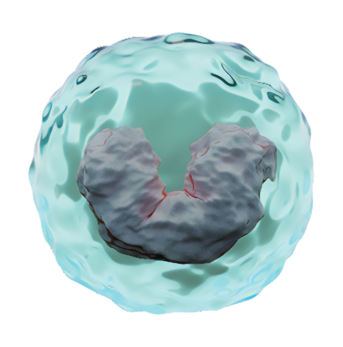 Monocytes can be differentiated into macrophages or dendritic cells using R&D Systems cell culture cytokines.