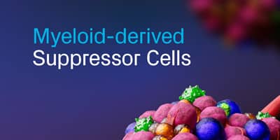 Myeloid-derived Suppressor Cells Brochure