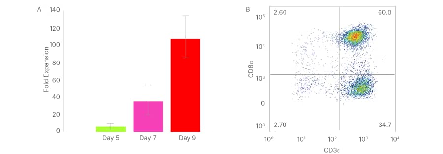 Detection of CD3+CD8+ and CD3+CD8- T cells by flow cytometry following enrichment in ExCellerate T Cell Expansion Media and R&D Systems cell culture cytokines.