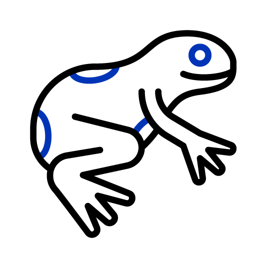 African clawed frog xenopus laevis icon