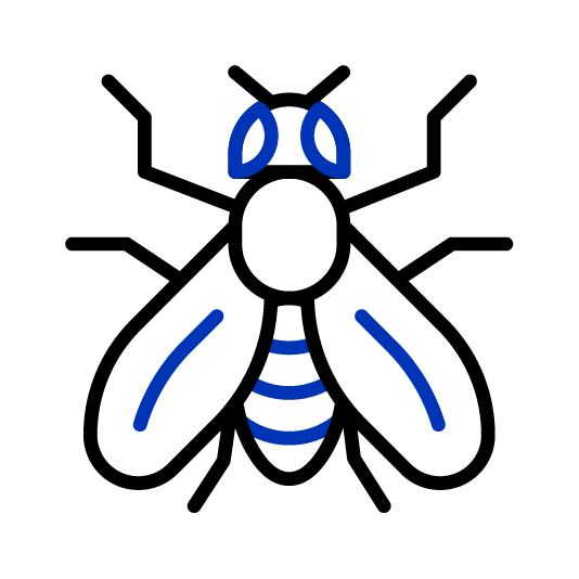 Fruit Fly Drosophilia Melanogaster icon