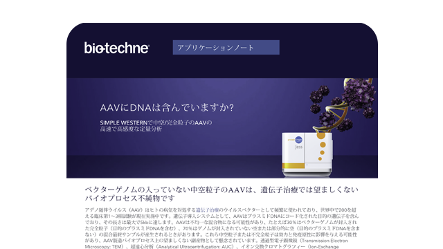 Simple Western AAV Empty Full Thumbnail Japanese