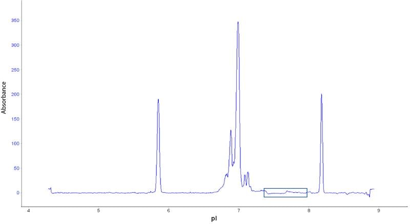 icIEF profile of mAb1 in absorbance detection mode on Maurice, by Fujifilm