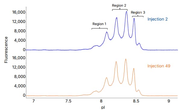 Analysis of an ADC using icIEF with Maurice OBM graph