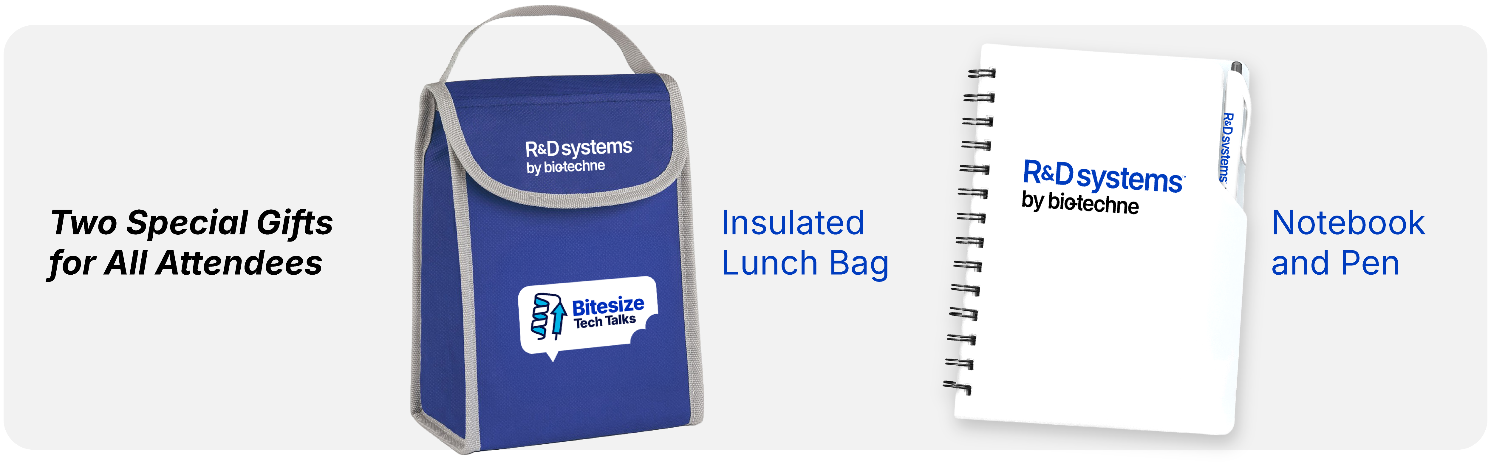R&D Systems Bitesize Tech Talk Lunch Box