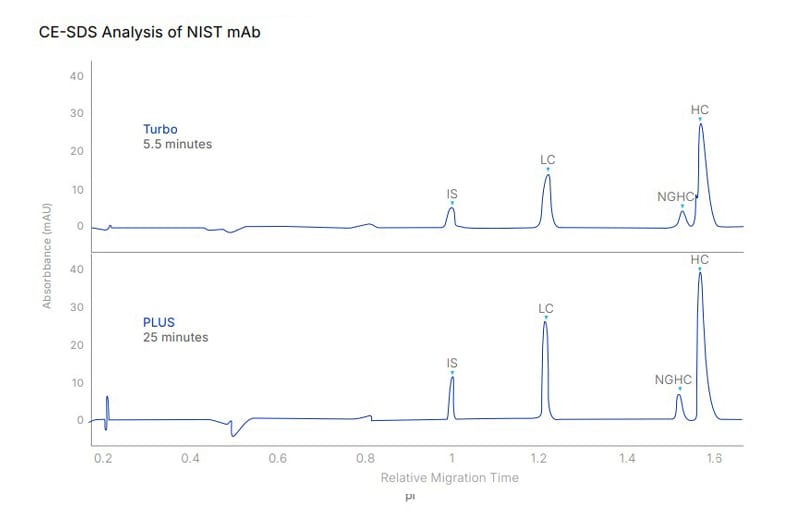 CE-SDS size separation graph from Maurice Instrument