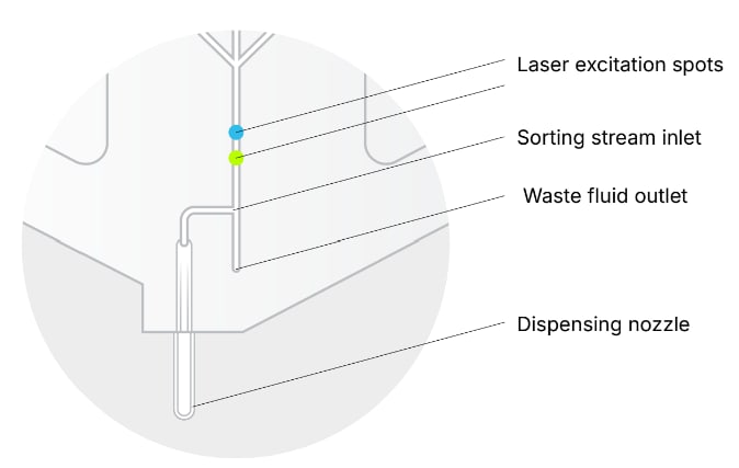 Pala cartridge schematic image