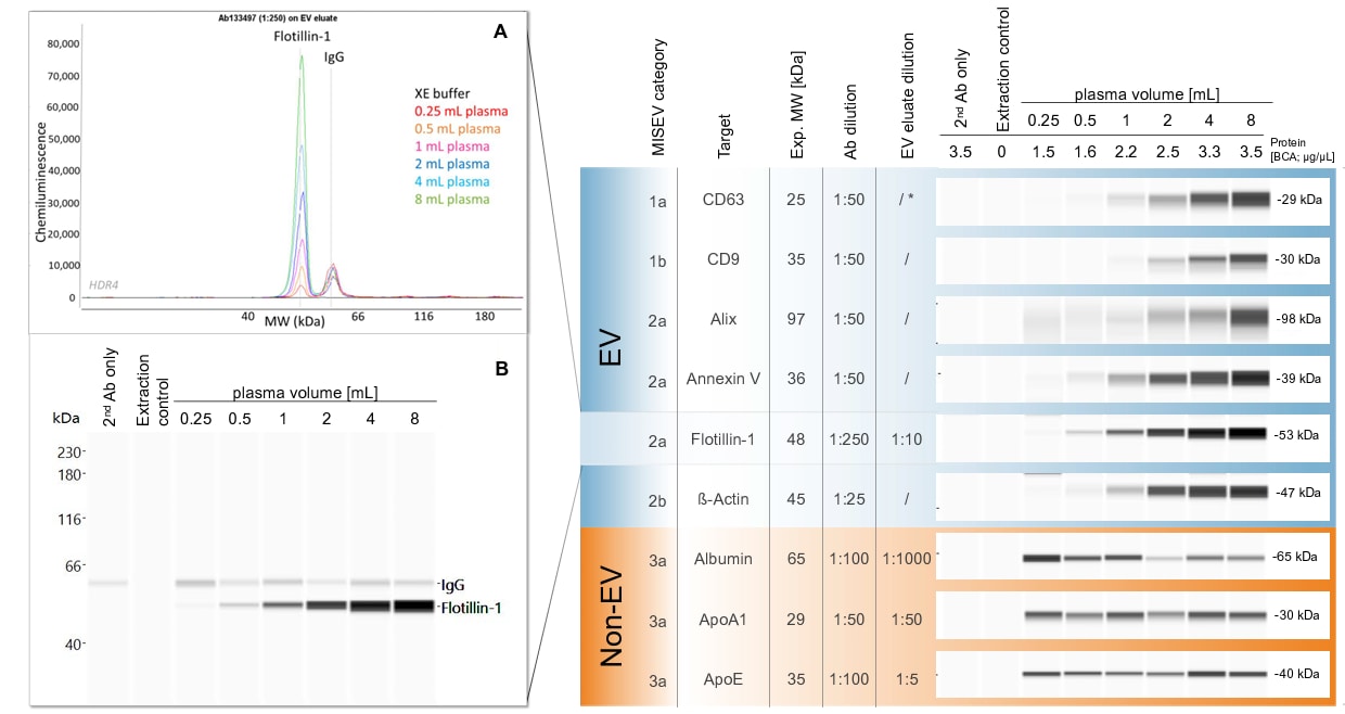 Detection of MISEV recommended EV Protein Markers with Simple Western Data