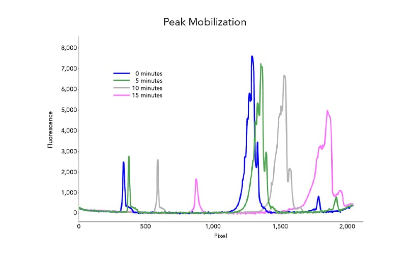 Protein Fractionation graph on MauriceFlex