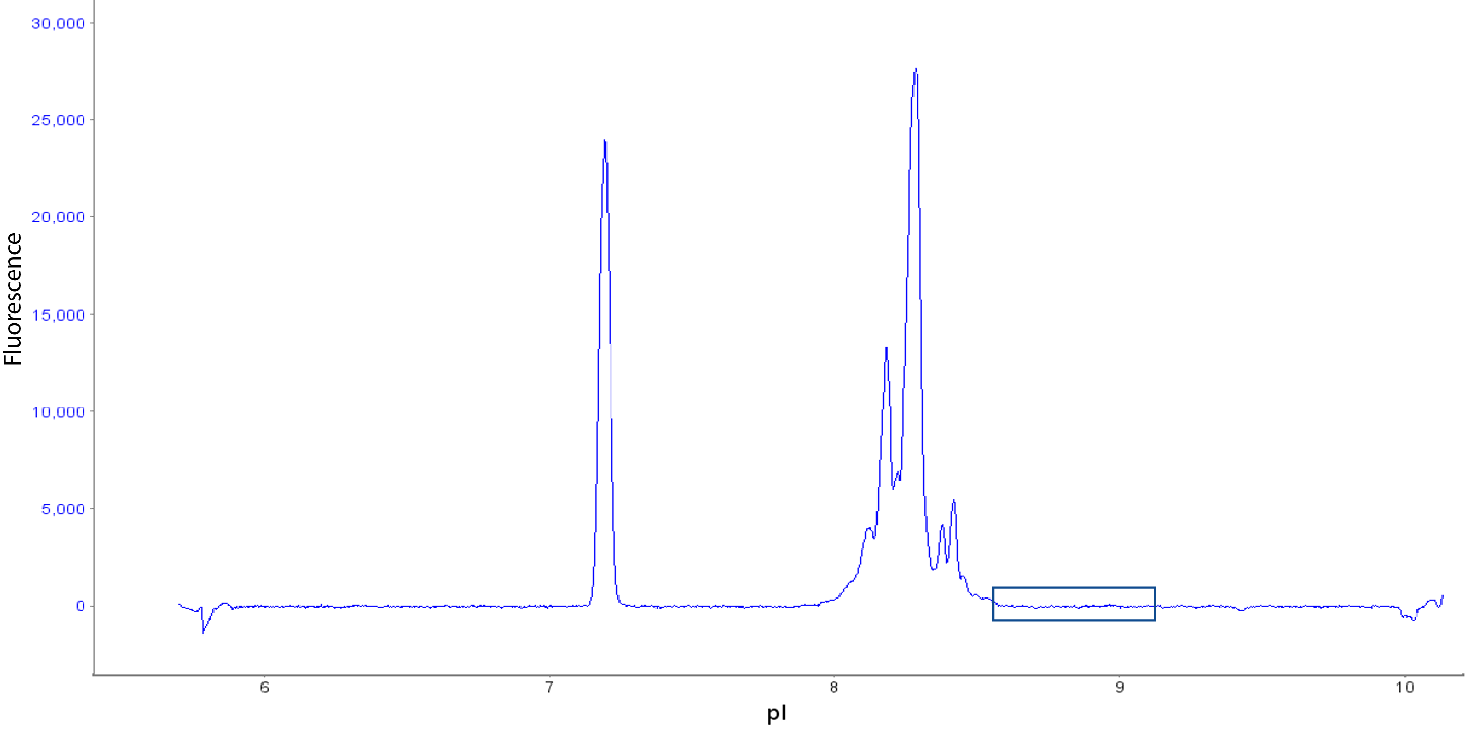 icIEF profile of mAb1 in native fluorescence detection mode on Maurice, by Fujifilm
