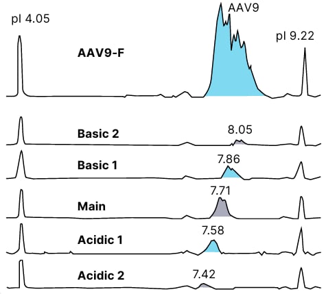 Fractionation of AAV9 Capsid Proteins with MauriceFlex data