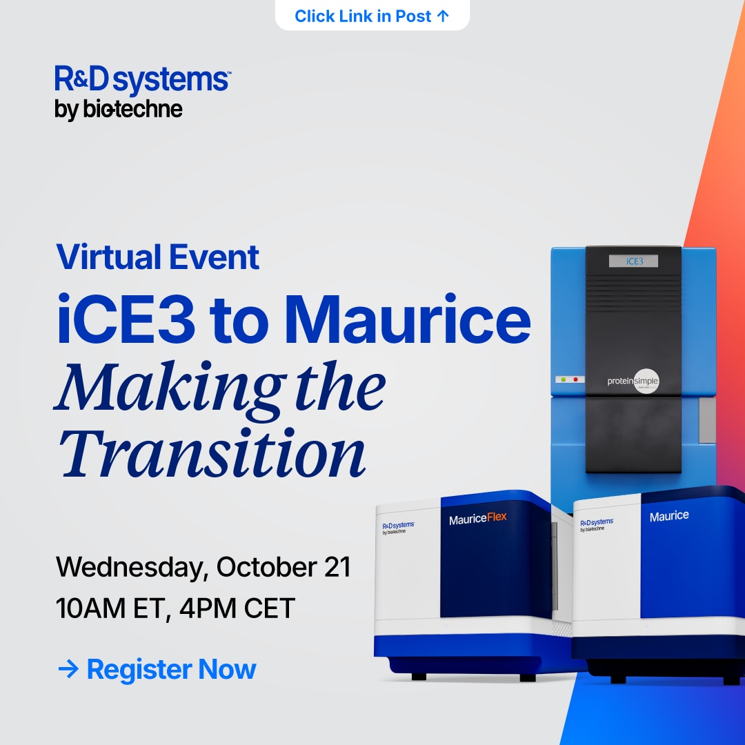 ice3 virtual meeting 2026