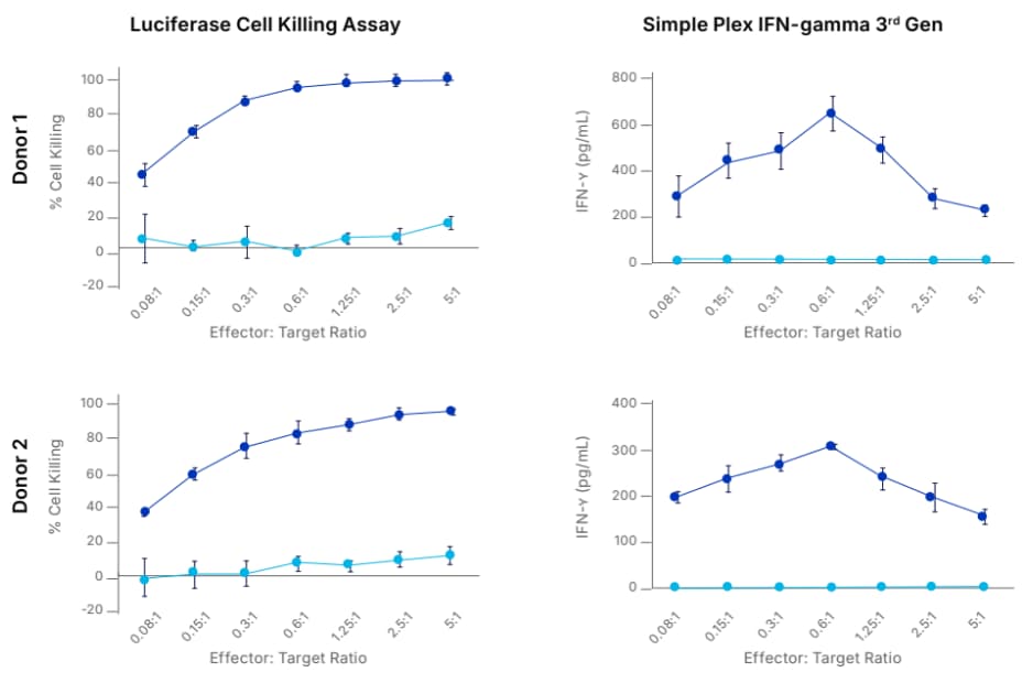 Simple Plex IFN Gamma Assay on CAR-T cells Data