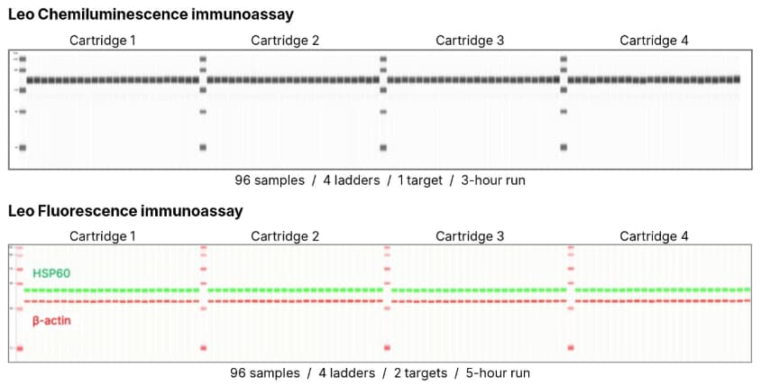 Simple Western Leo has 100 capillary capacity 
