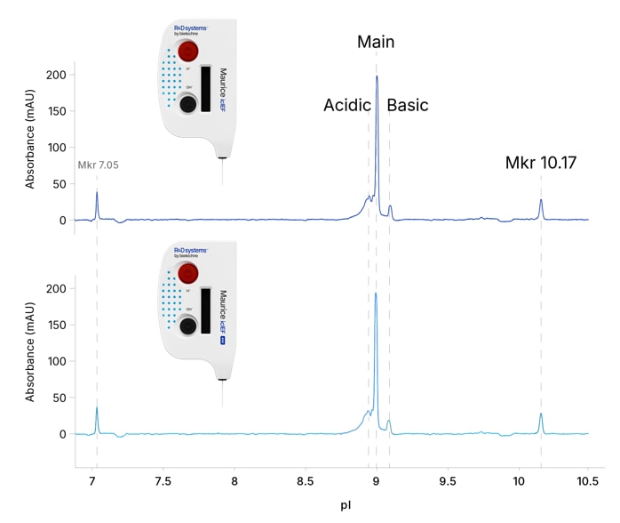 Maurice cIEF analysis of NIST mAb