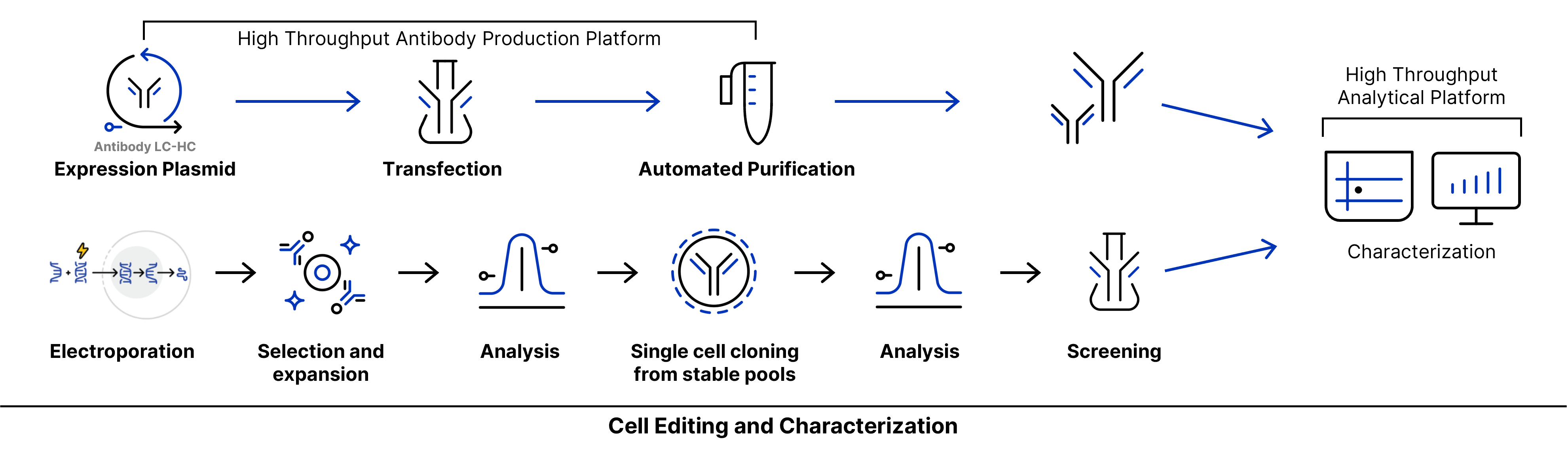Integration, cell culture, and CQA analysis workflow