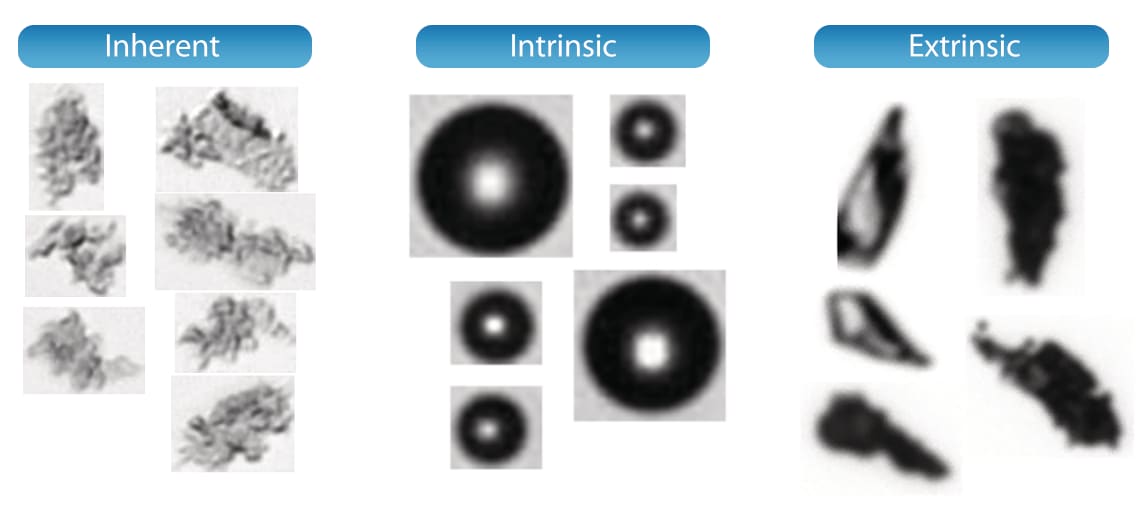 MFI particle classifications: Inherent, Intrinsic, Extrinsic