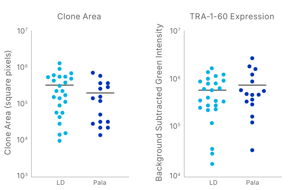 Pala Derived iPSC Clones are Healthy and Maintain Stemness 