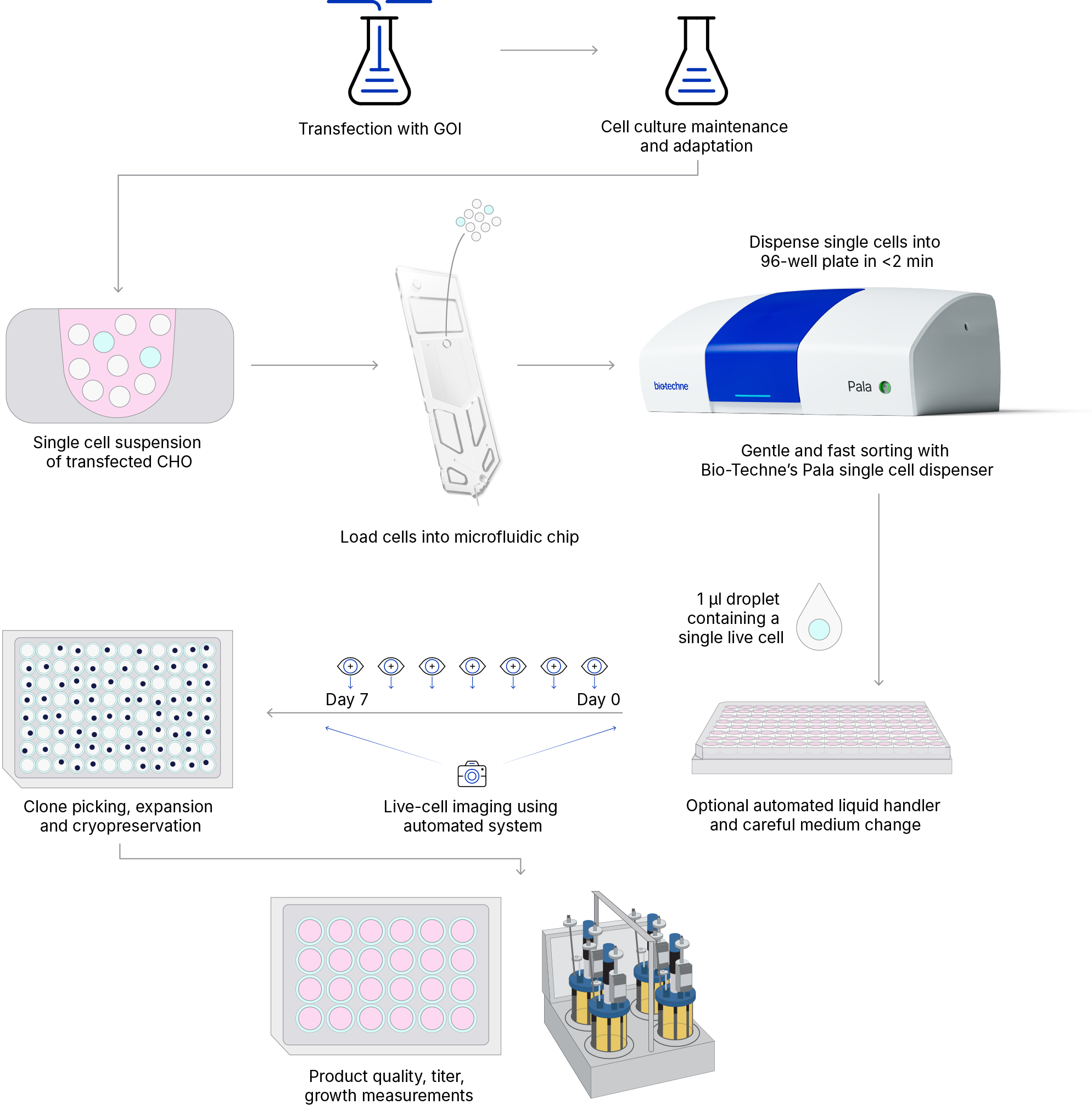 Pala Single Cell Dispensing Biologics Workflow Graphic