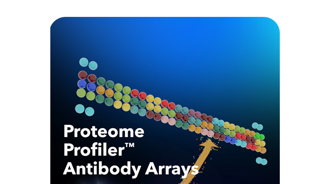 Proteome Profiler Brochure thumbnail