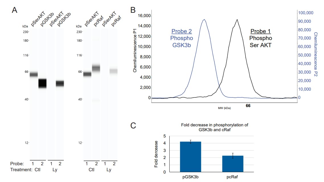 RePlex Sequential Immunoassay on Jess