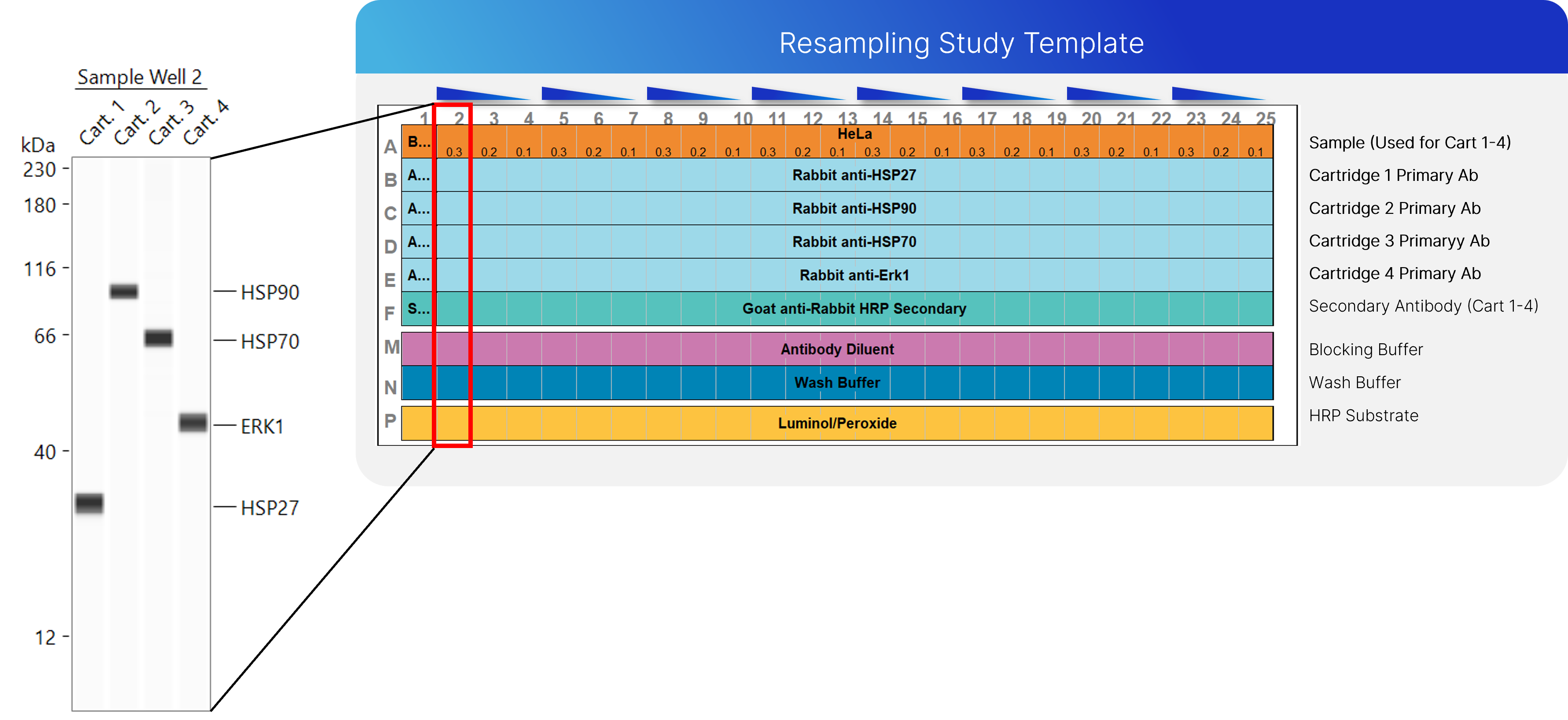 Simple Western Leo Resampling capabilities