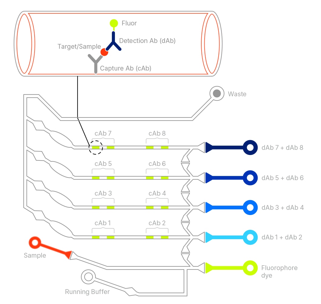Simple Plex Multiplex Cartridge Illustration