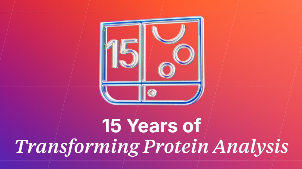 15 Year Simple Western Infographic Thumbnail