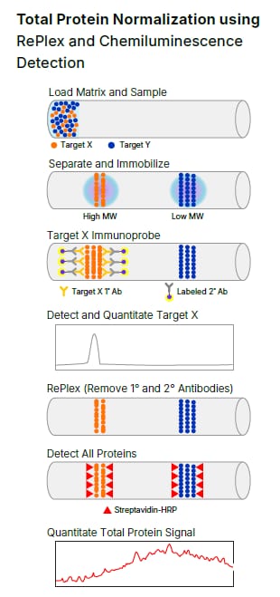 Total Protein Normalization using rePlex and Chemiluminescence detection on Simple Western instrument