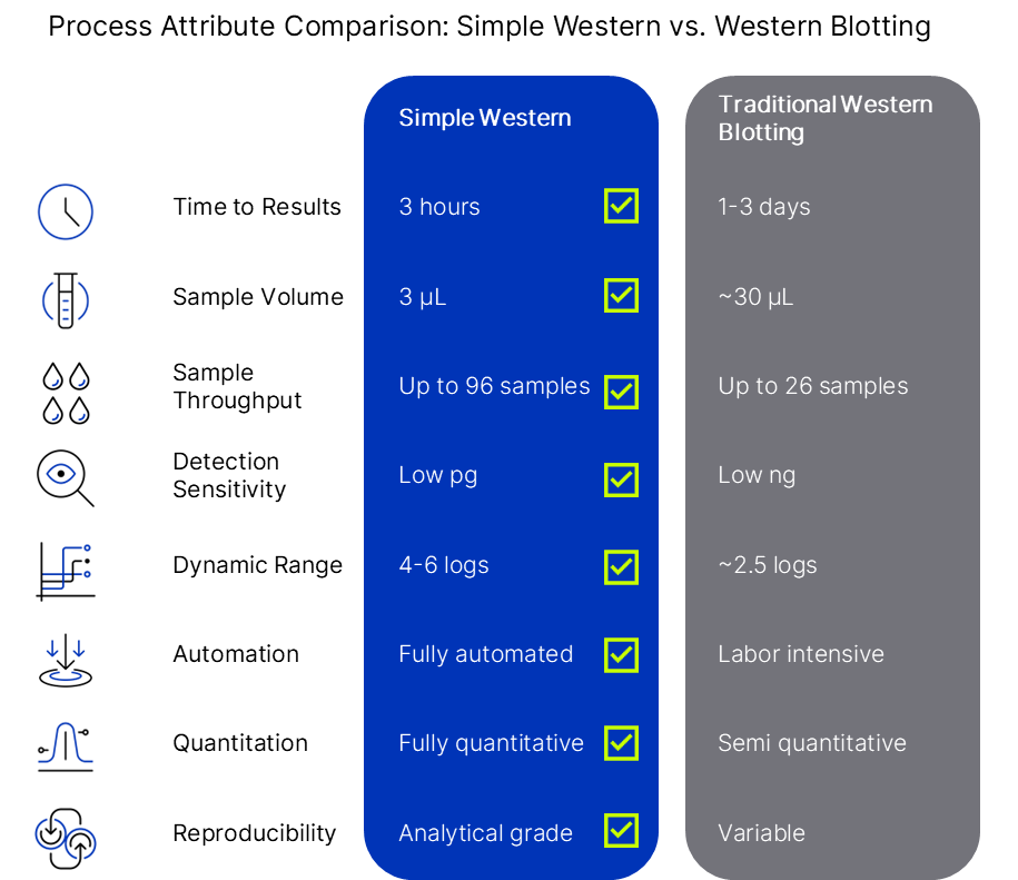 Comparison between simple western and western blot techniques