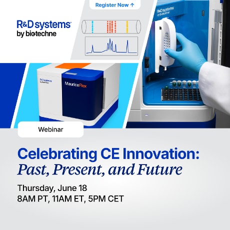Thumbnail for Maurice rebrand webinar