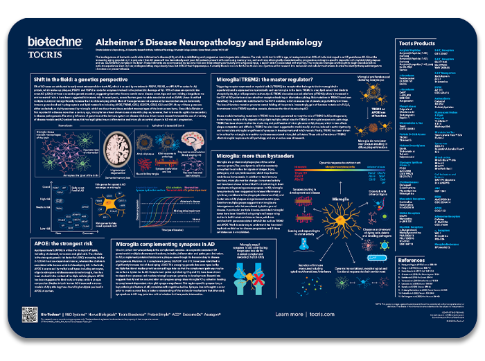 Alzheimer's Disease Neuropathology and Epidemiology Life Science Poster