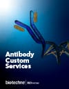 Antibody Custom Services  