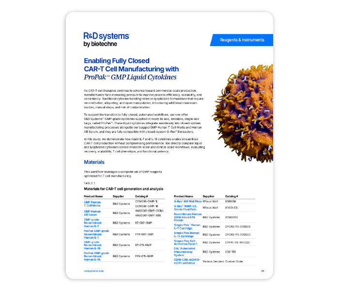 Car T Cell Manufacturing