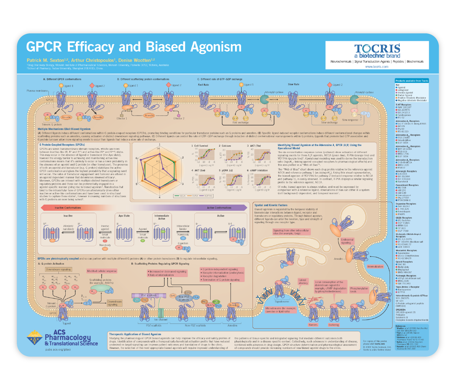 GPCR Efficacy and Biased Agonism Life Science Poster